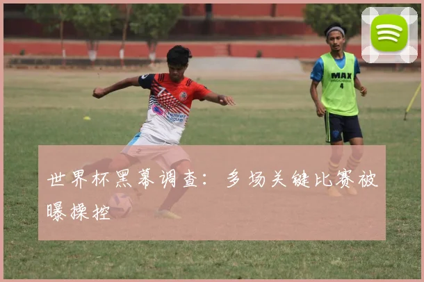 世界杯黑幕调查：多场关键比赛被曝操控