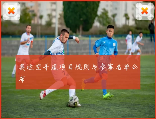 奥运空手道项目规则与参赛名单公布